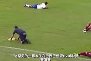 全员卧倒！蜂群闯入赛场全员趴地躲避！